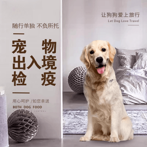 汉沽区宠物托运到哥伦比亚猫狗宠物入境规定和