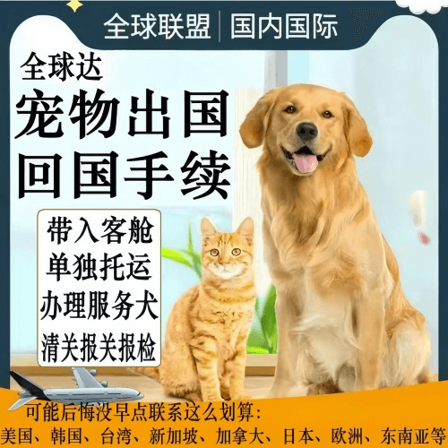 汉沽区宠物托运到柬埔寨宠物入境规定和要求