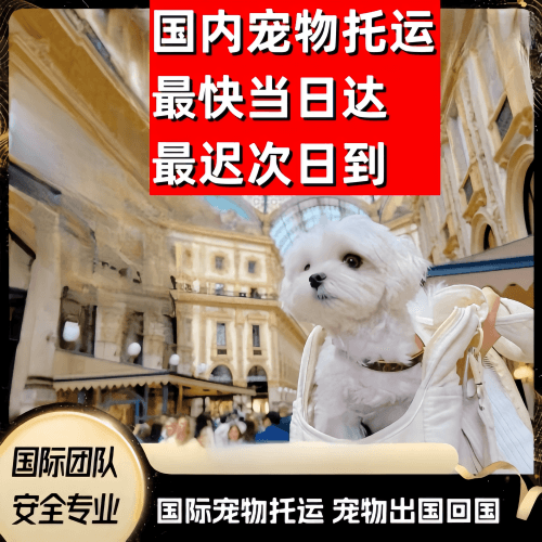汉沽区到澳大利亚（澳洲）宠物入境规定和要求