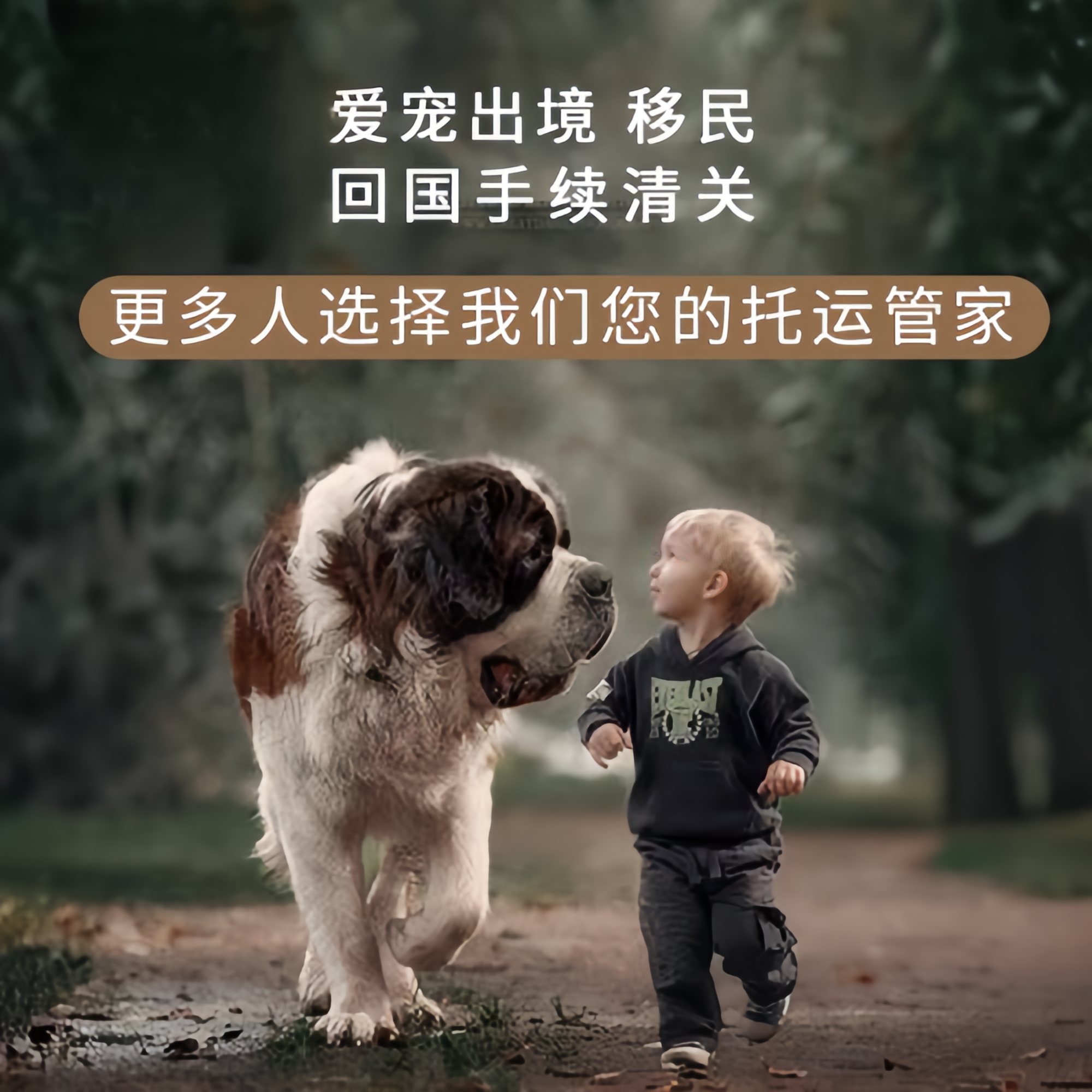 满财汉沽区宠物全球达宠物托运在遵守入境目的地政策的条件