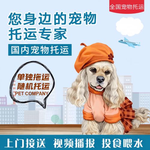 满财汉沽区宠物全球达宠物托运作为专业的宠物运输代理机构